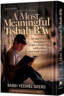 A Most Meaningful Tishah B'Av - Spero