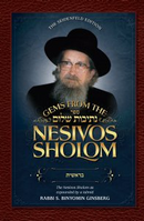 Gems from the Nesivos Shalom - Bereshis