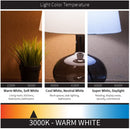 Sunlite ShabBulb, LED , 7 Watt (40 Watt Equivalent) Warm White