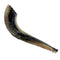 Moroccan Shofar size 4