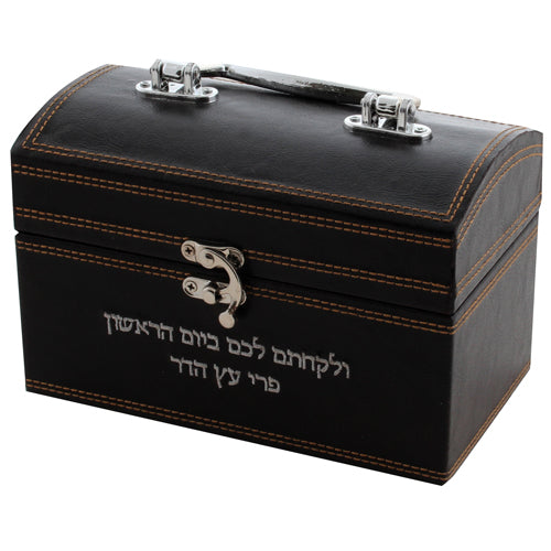 Faux Leather Esrog Box With Handle And Clasp Dark Brown