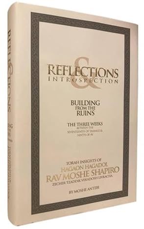 Reflections & Introspection - Building from the Ruins - Three Weeks - R' Moshe Shapiro