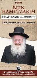 Rav Mattisyahu Salomon Vaadim - Bein Hametzarim - USB
