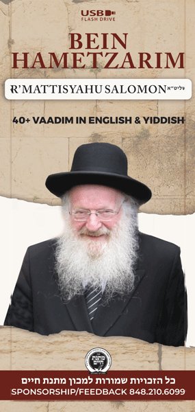 Rav Mattisyahu Salomon Vaadim - Bein Hametzarim - USB