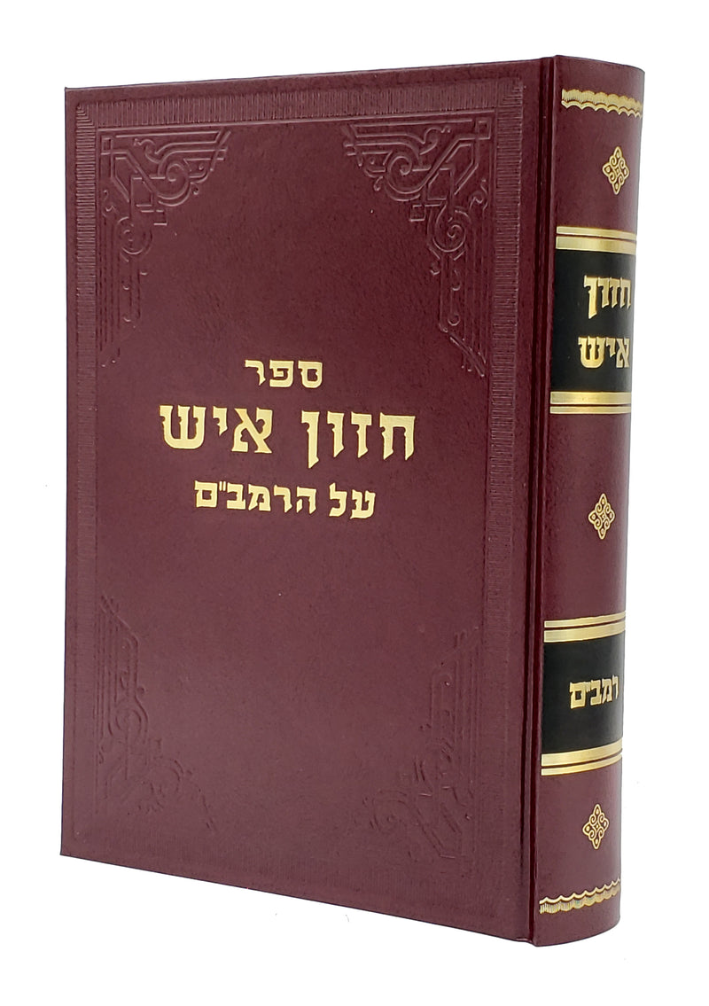 חזון איש על הרמב"ם