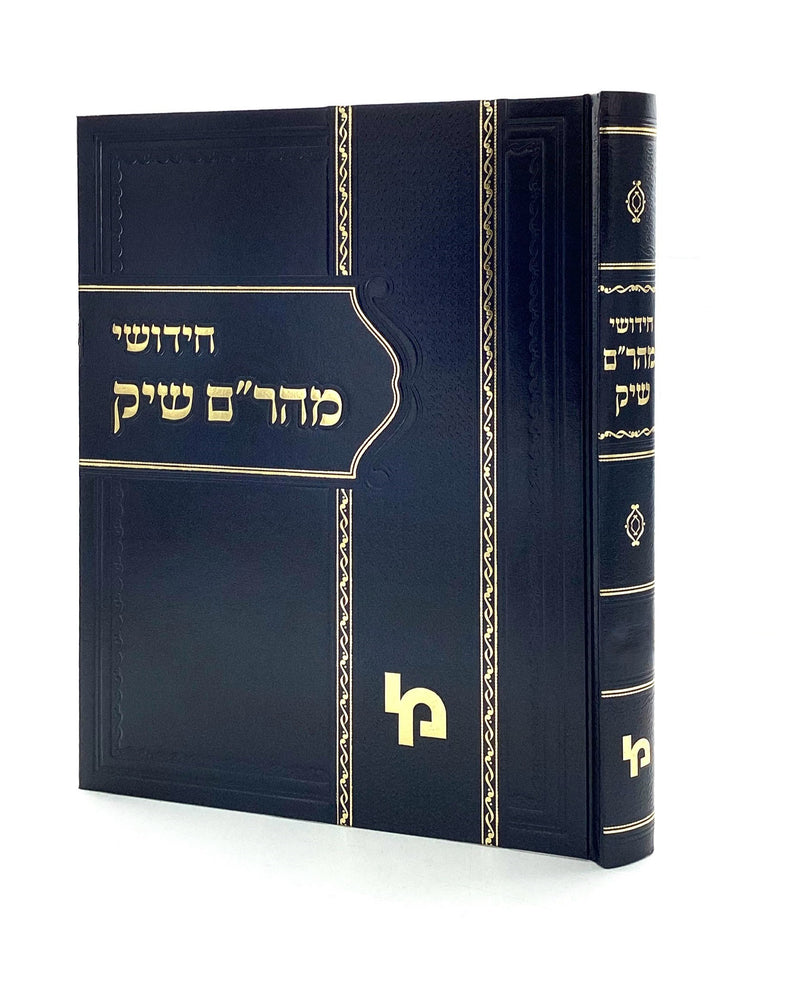 חידושי מהר"ם שיק - בבא מציעא