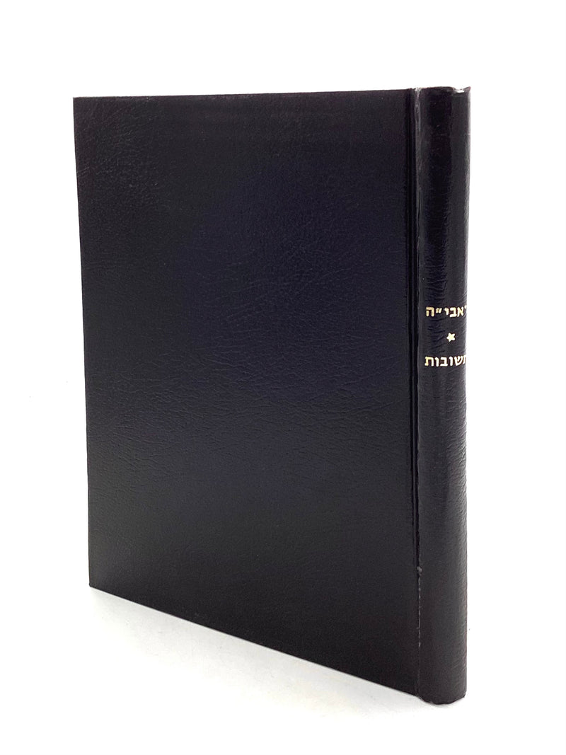 Sefer Ravya - Shut