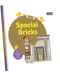 Special Brick