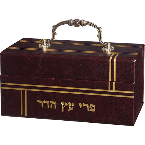 Faux Leather Etrog Box with Handle & Lock - Brown - UK41413