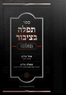 תפילה בציבור בהלכה - גרונפלד