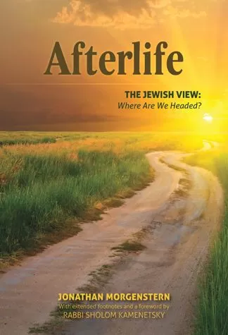 Afterlife - The Jewish View - Where Are We Headed? - Hardcover