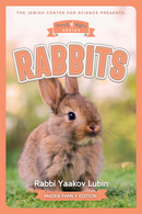 RABBITS USB