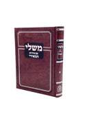 Mishlei Im Peirush HaMeiri