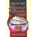Visions Of Freedom Haggadah