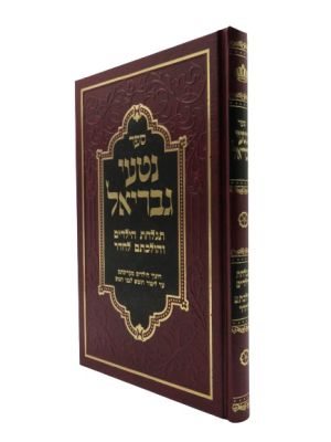 נטעי גבריאל - תגלחת הילדים והולכתם לחדר