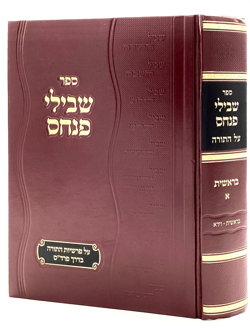 Shvilei Pinchas Al HaTorah - Bereishis - Volume 1