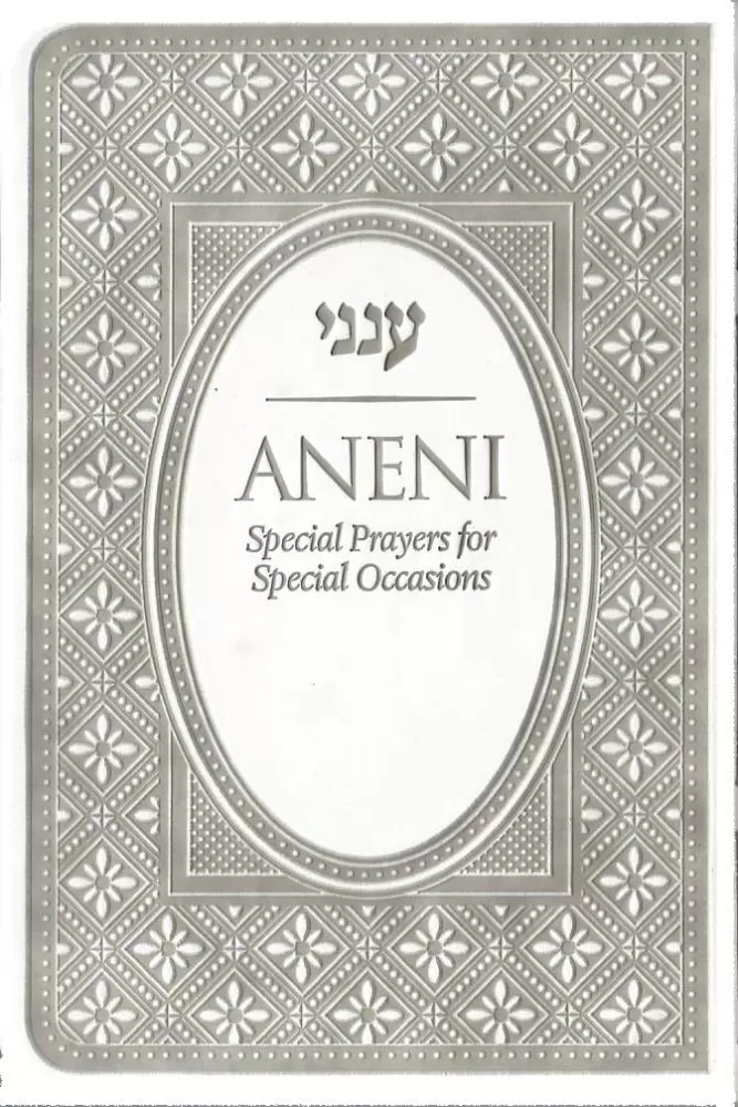 Aneni Flex - Simcha Edition - Grey - s/c - ענני קטן כ"ק - כחול