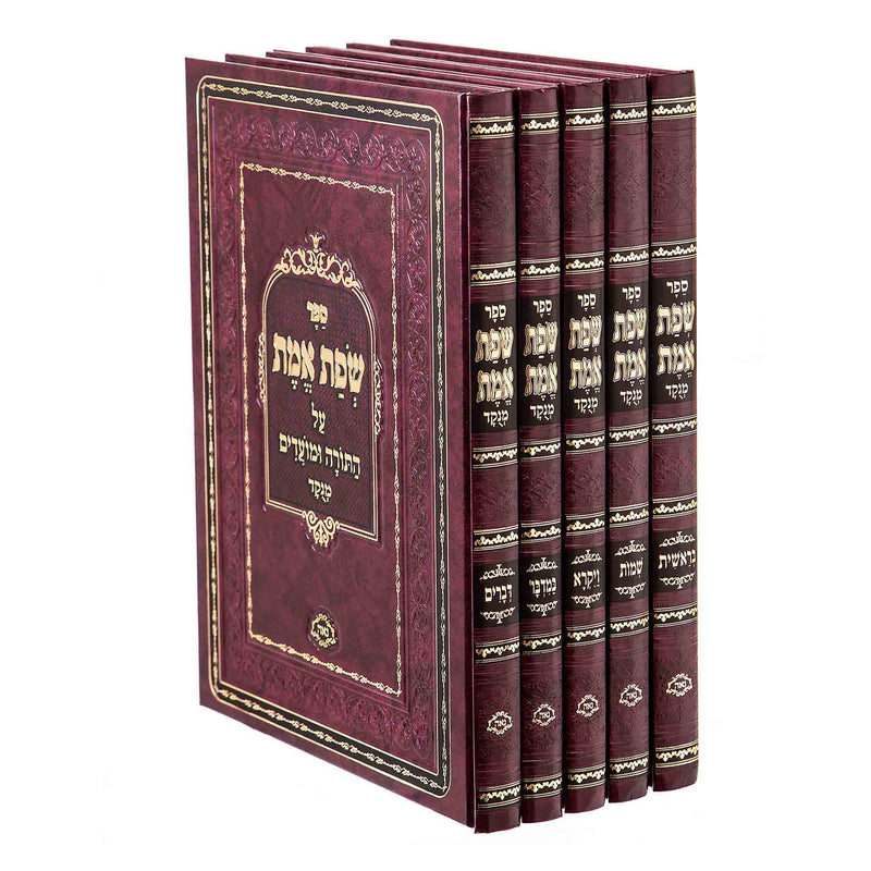 Sfas Emes on Torah - Menukad [5 volumes]