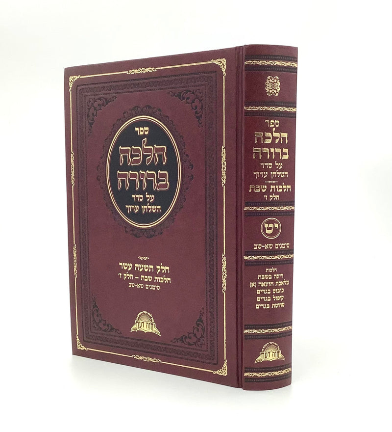 Halacha Berurah §318