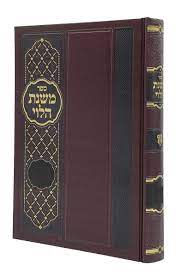 משנת הלוי -בבא מציעא ח"א