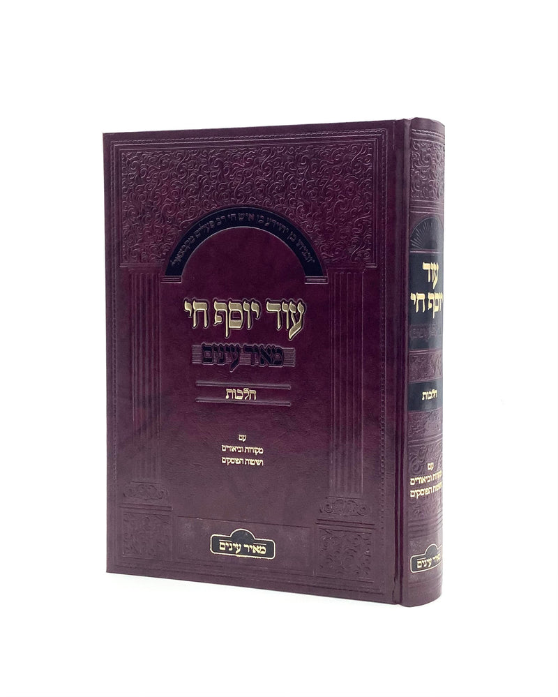 Od Yosef Chai Halachot - Meir Einayim