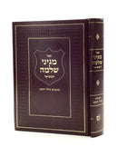 מגיני שלמה על הש"ס