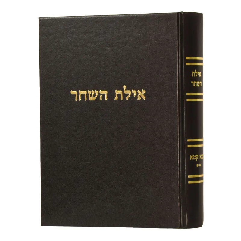 אילת השחר - בבא קמא ח"ב