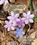 The Balabusta's Daily Organizer  - Desktop Edition - 2025-2026