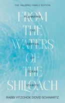 From the Waters of the Shiloach - Plumbing the depths of the Toras Izhbitz