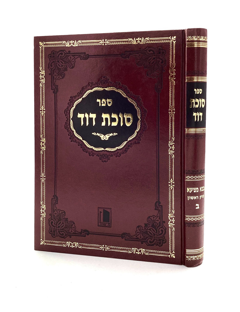 Sukkas Dovid - Bava Metzia Volume 2