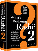 What's Bothering Rashi 2