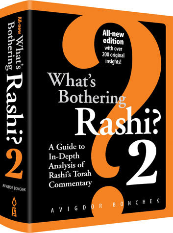 What's Bothering Rashi 2