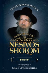 Gems from the Nesivos Shalom - Yamim Noraim