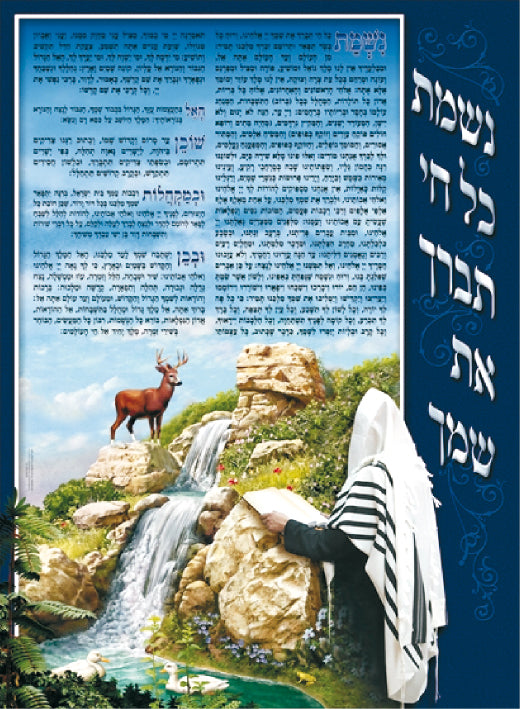 Laminated Sukkah Poster (20 x 28") P416