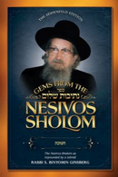 Gems from the Nesivos Shalom - Chanukah