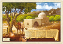 Laminated Sukkah Poster (20 x 28") P702