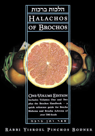 Halachos of Brochos - Bodner