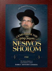 Gems from the Nesivos Shalom - Shemos