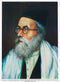 Laminated Sukkah Poster (20 x 28") P836