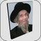 Jbrush Paint By Number - R' Ahron Leib Steinman