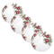 Lucite Pomegranate Chargers - Set of 4