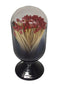 Glass Match Cloche-Black/Clear