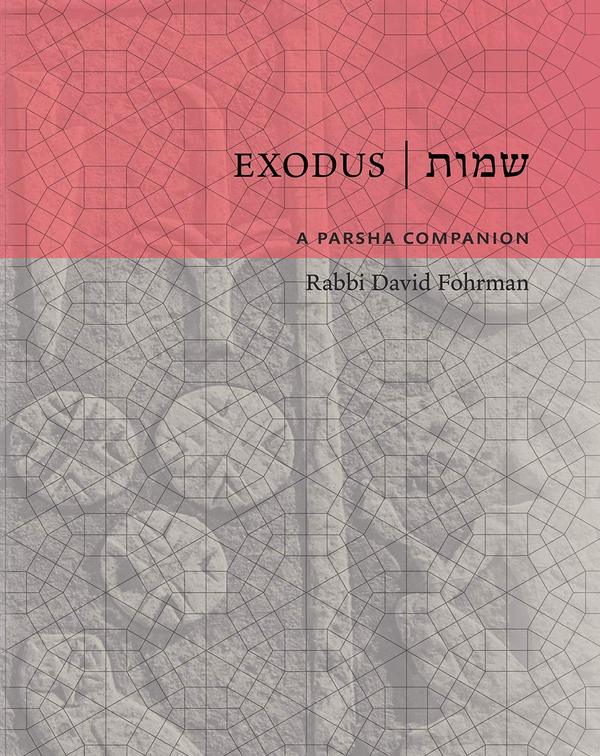 EXODUS : A Parsha Companion - David Fohrman