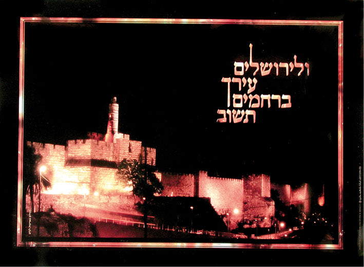 Laminated Sukkah Poster (20 x 28"), P19