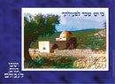 Laminated Sukkah Poster (20 x 28"), P23