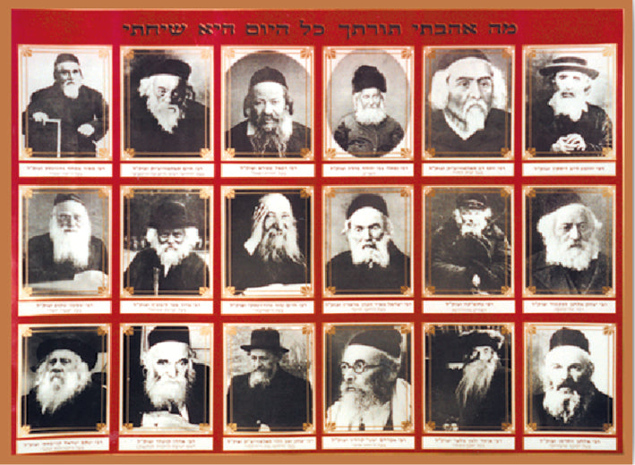 Laminated Sukkah Poster (20 x 28") P27