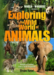 Exploring The Wild World Of Animals