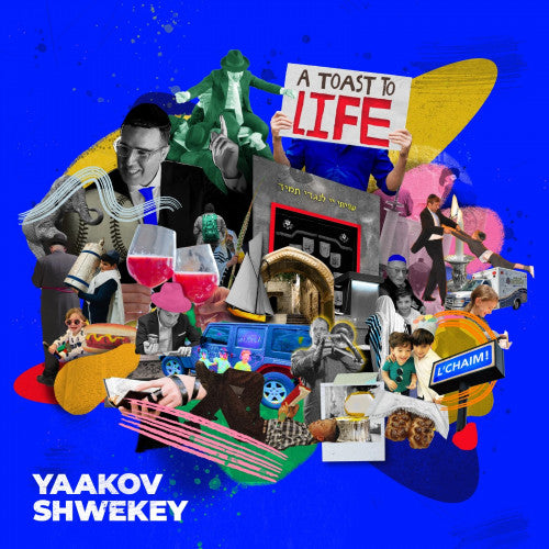 A TOAST TO LIFE  - SHWEKEY CD