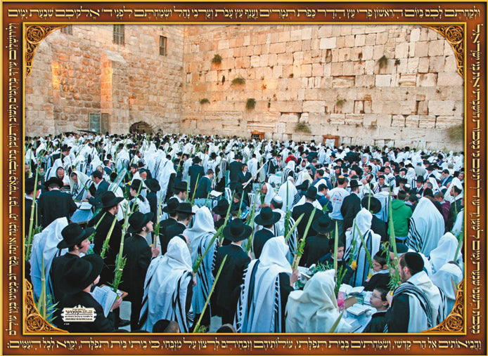 Laminated Sukkah Poster (20 x 28") P410