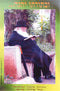Laminated Sukkah Poster (20 x 28") P563